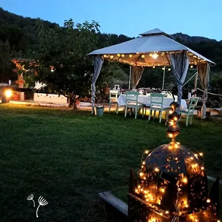 Spiritual Yurt In Extremadura For Glamping In Spain El Torno (Extremadura)