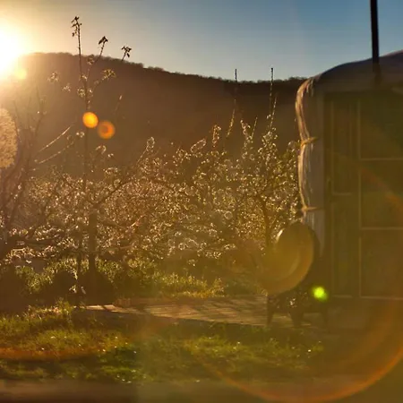 Spiritual Yurt In Extremadura For Glamping In Spain * El Torno (Extremadura)