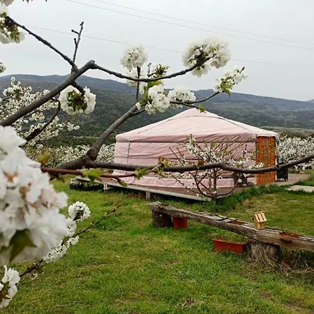 Spiritual Yurt In Extremadura For Glamping In Spain